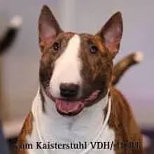 vom Kaiserstuhl