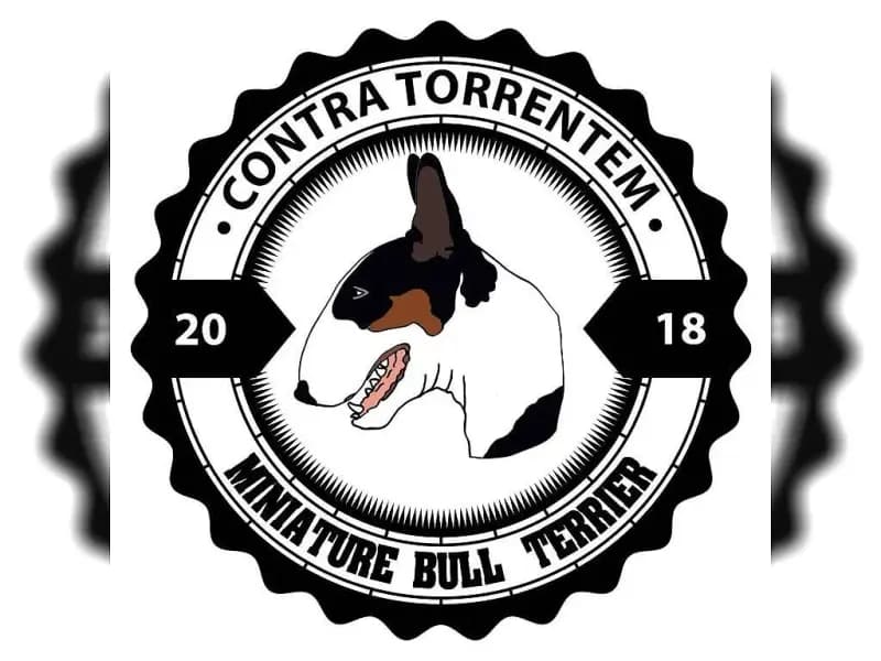 Contra Torrentem