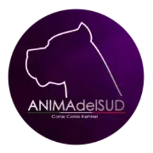 Anima Del Sud