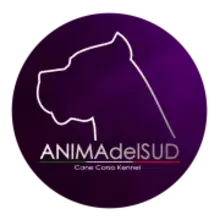 Anima Del Sud