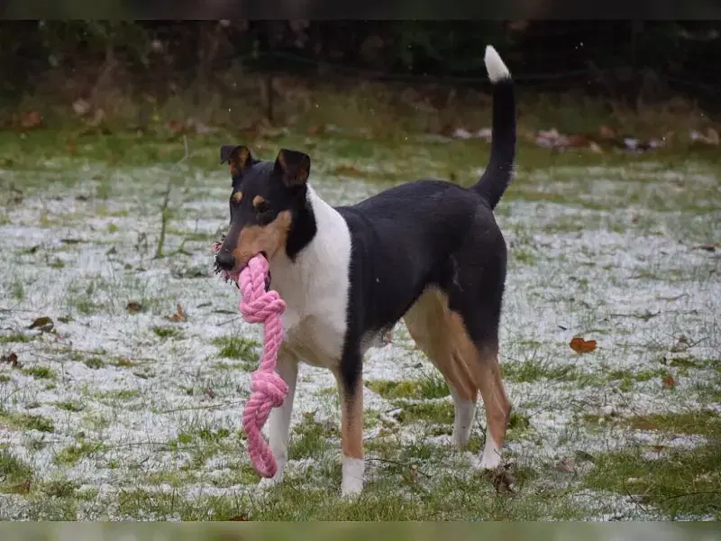 Legend of Camelot’s