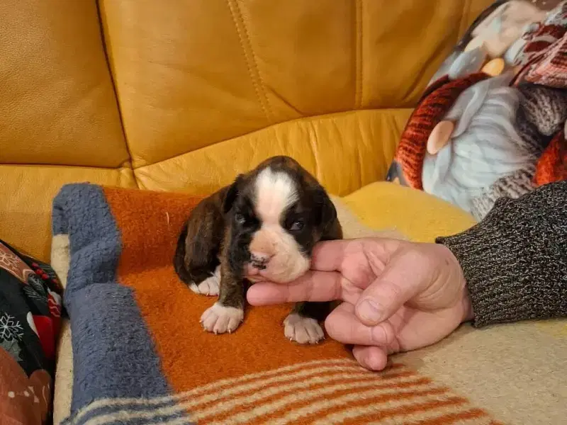 vom Cloppenburger Land