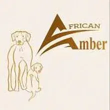 African Amber
