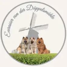 von der Düppelsmühle
