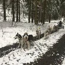 from Sled Dog Valley