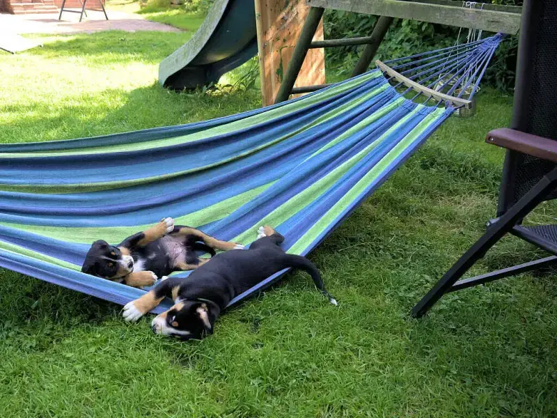 aus der Wistedter Rappelkiste