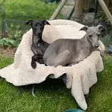 from manor at mountain