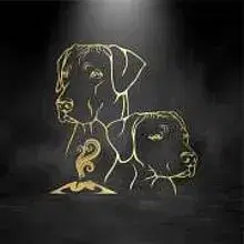 vom Vogelsberg Vulkan