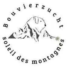 soleil des montagnes