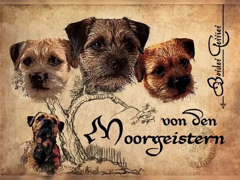 von den Moorgeistern