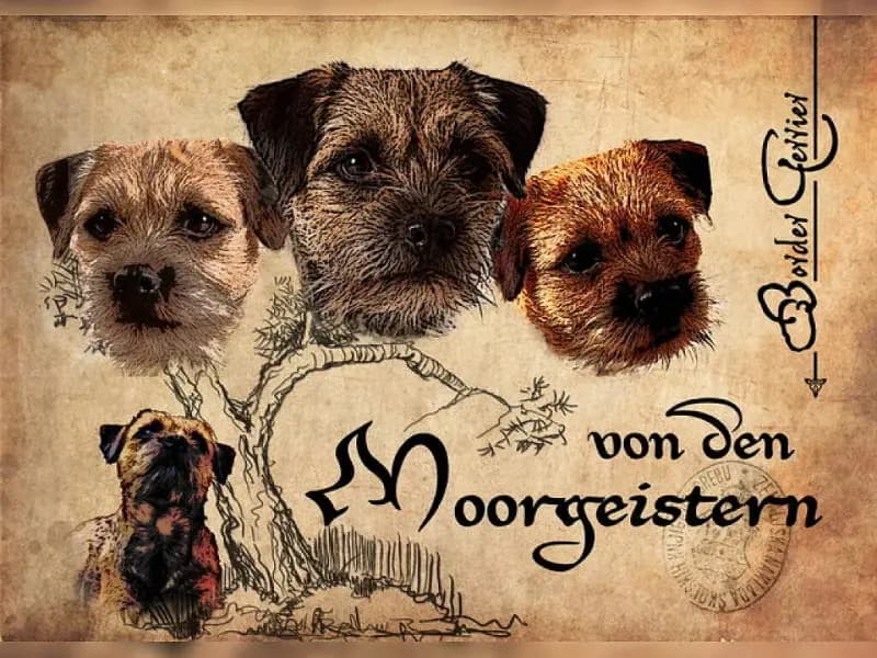 von den Moorgeistern