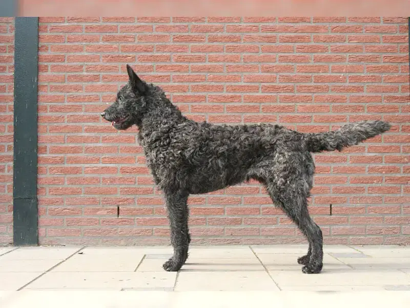 vom Airport Frankfurt