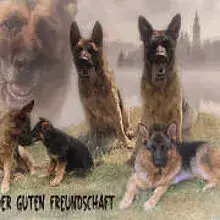 von der guten Freundschaft