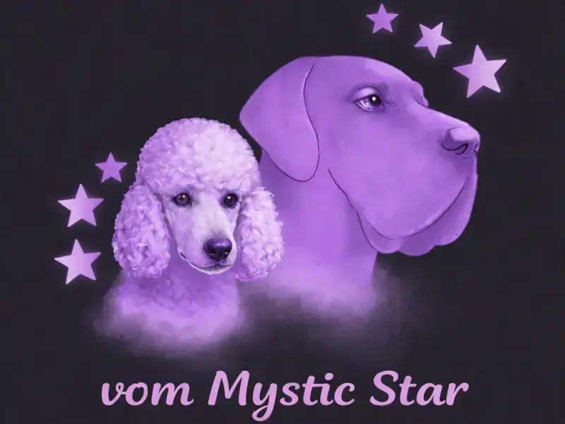 vom Mystic Star