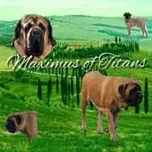 Maximus of Titans