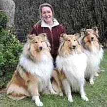 von Reehedi