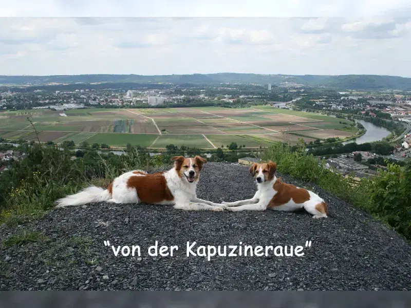 von der Kapuzineraue