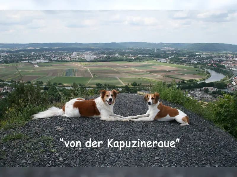 von der Kapuzineraue