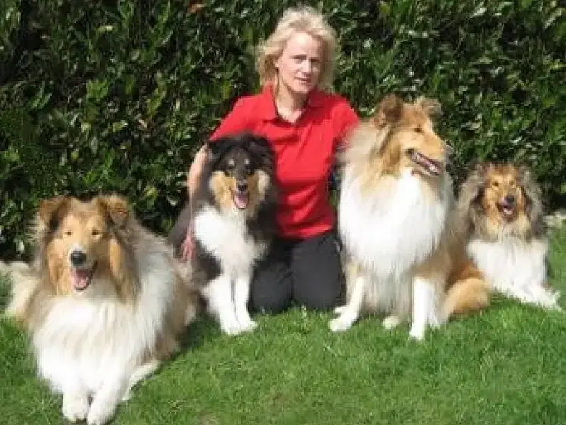 of Sutherland’s Twin