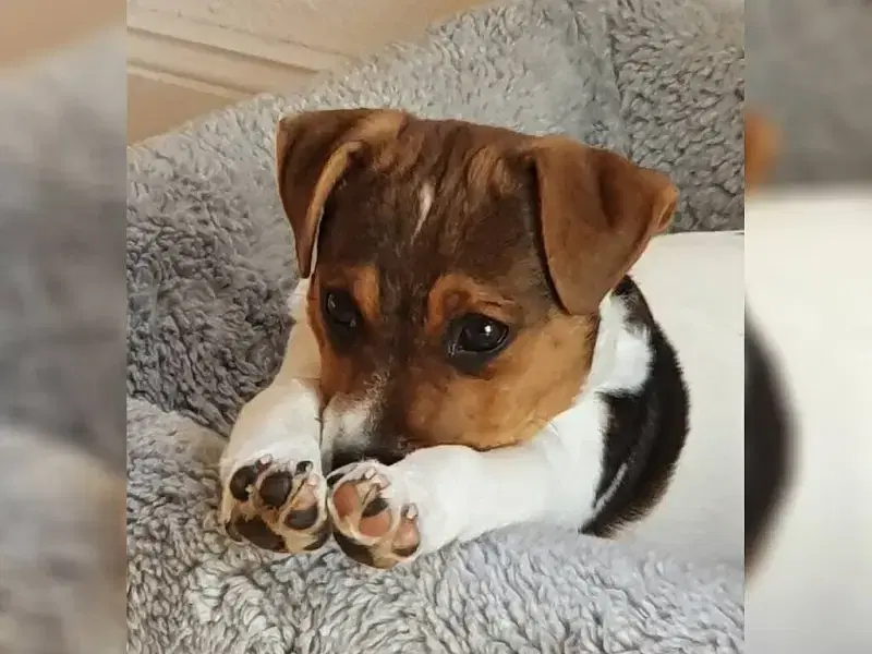 aus dem Lauenburger Land