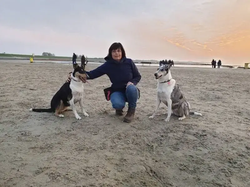 vom Langenhorster Wald