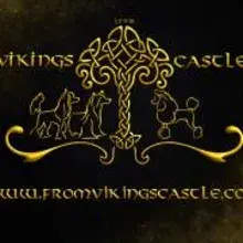 from Vikings Castle