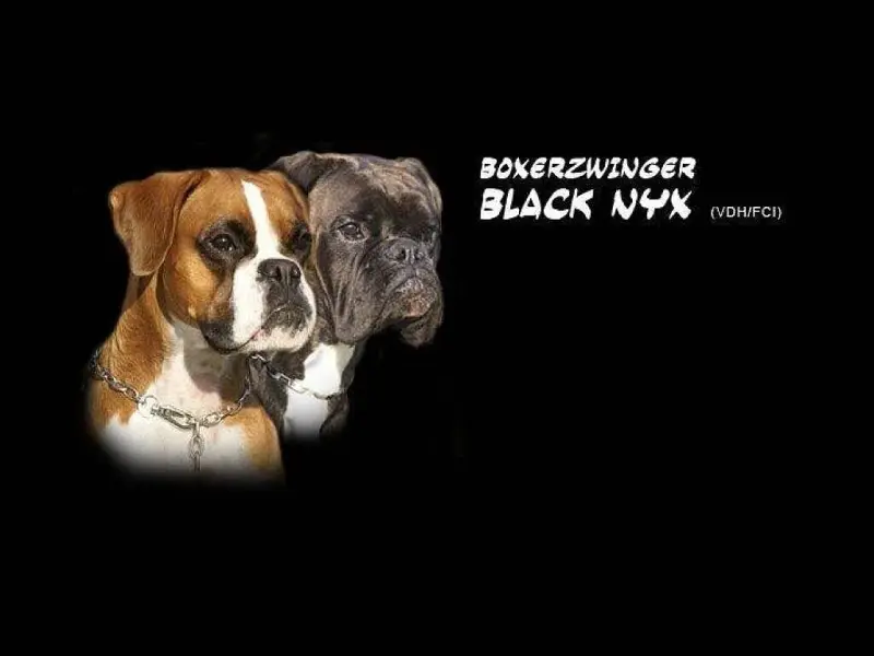 von Black Nyx
