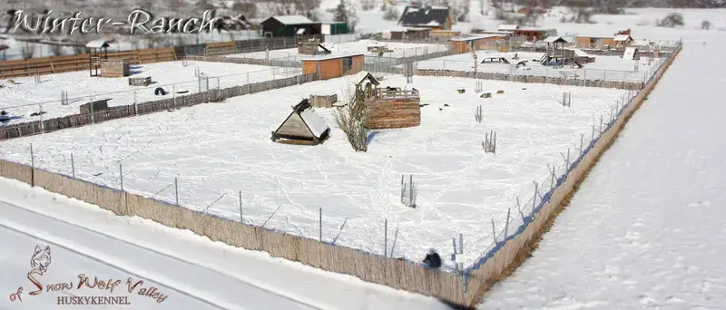 Huskykennel of Snow Wolf Valley - Bild 1