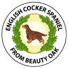 from Beauty Oak