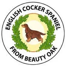 from Beauty Oak