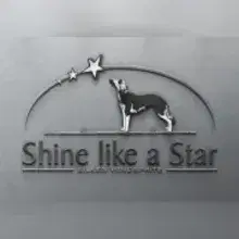 shine like a Star