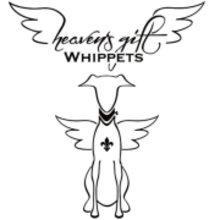 Heaven’s gift
