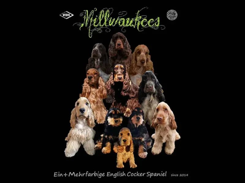 Millwaukee’s