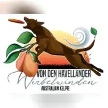 von den Havelländer Wirbelwinden