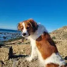 vom Mühbrooker Meer