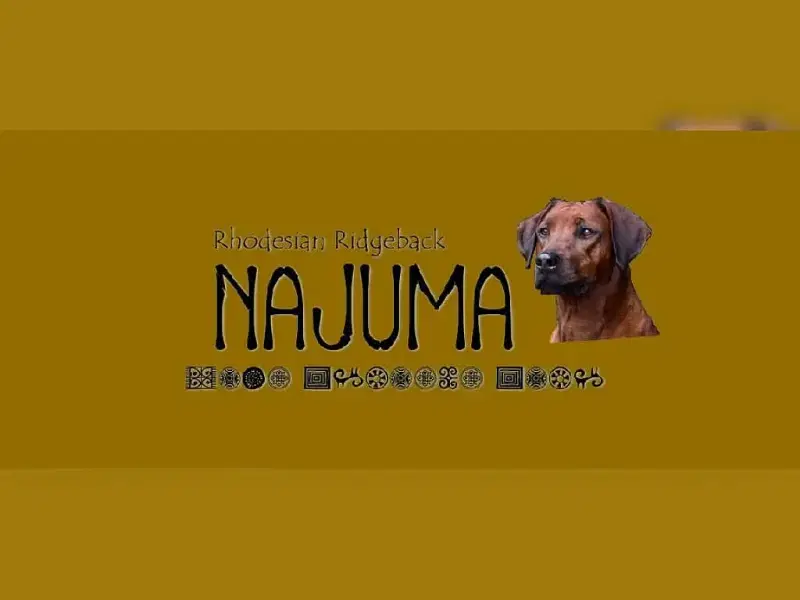 Najuma