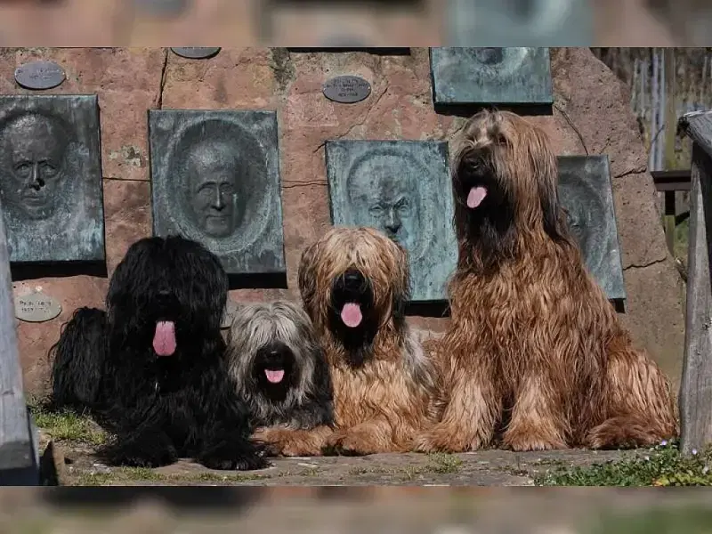 von der frechen wilden Hummel