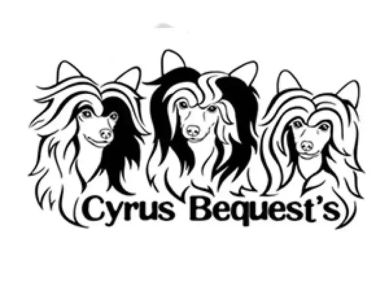 Cyrus Bequest’s