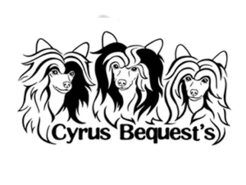 Cyrus Bequest’s