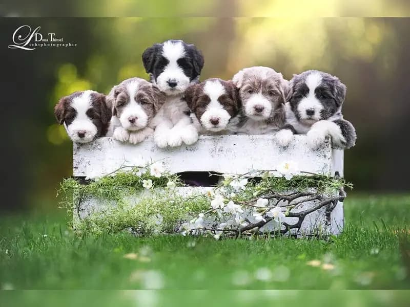 A heart full of Soul's