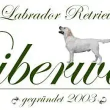 vom Biberwald