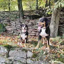 vom Louisenhofer Land