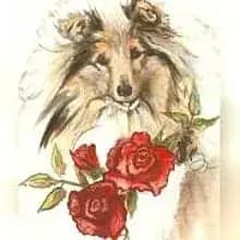 Rose from Dalriada