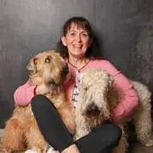 Wheaten Angels