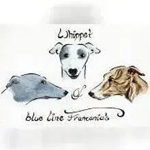 of blue line franconia’s