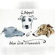 of blue line franconia’s