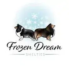 Frozen Dream