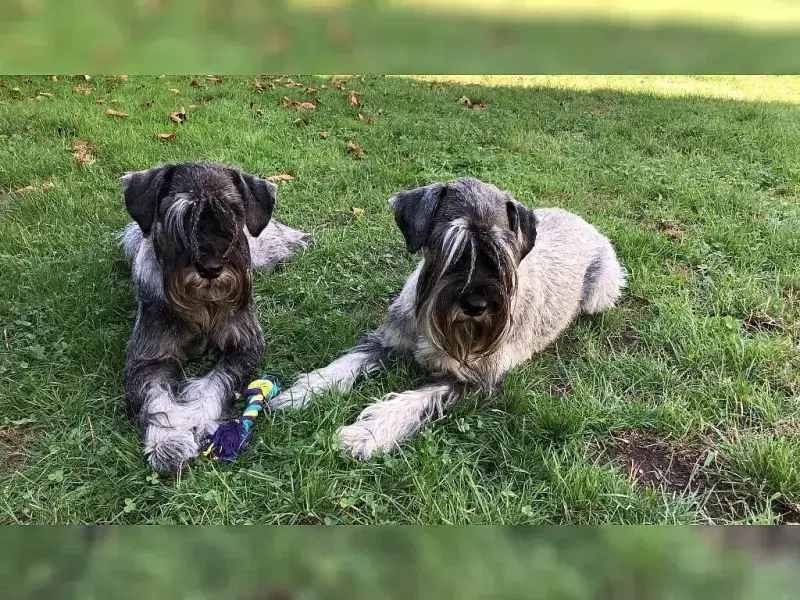 von der Ketscher Allee