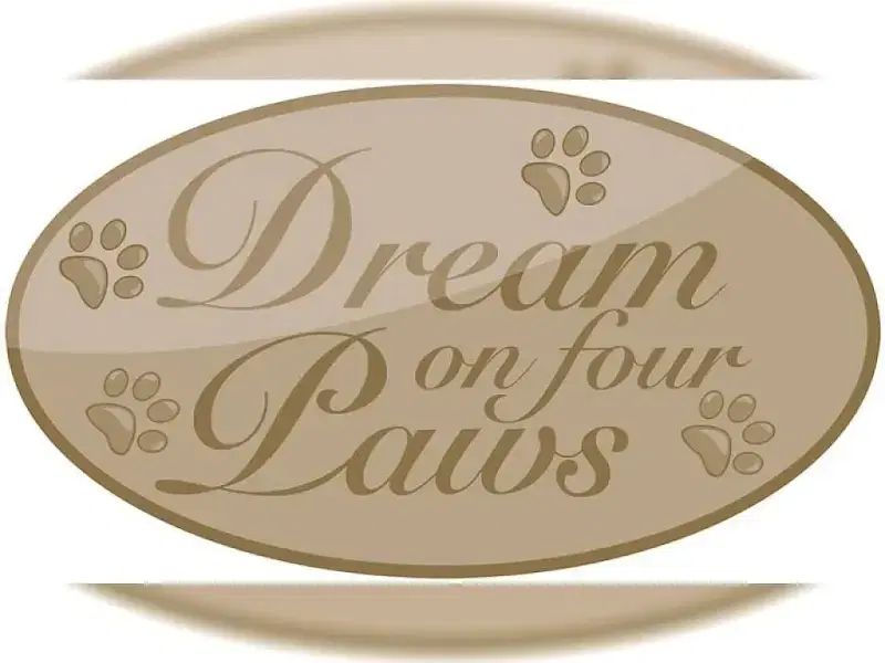 Dream on four paws