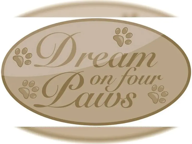 Dream on four paws